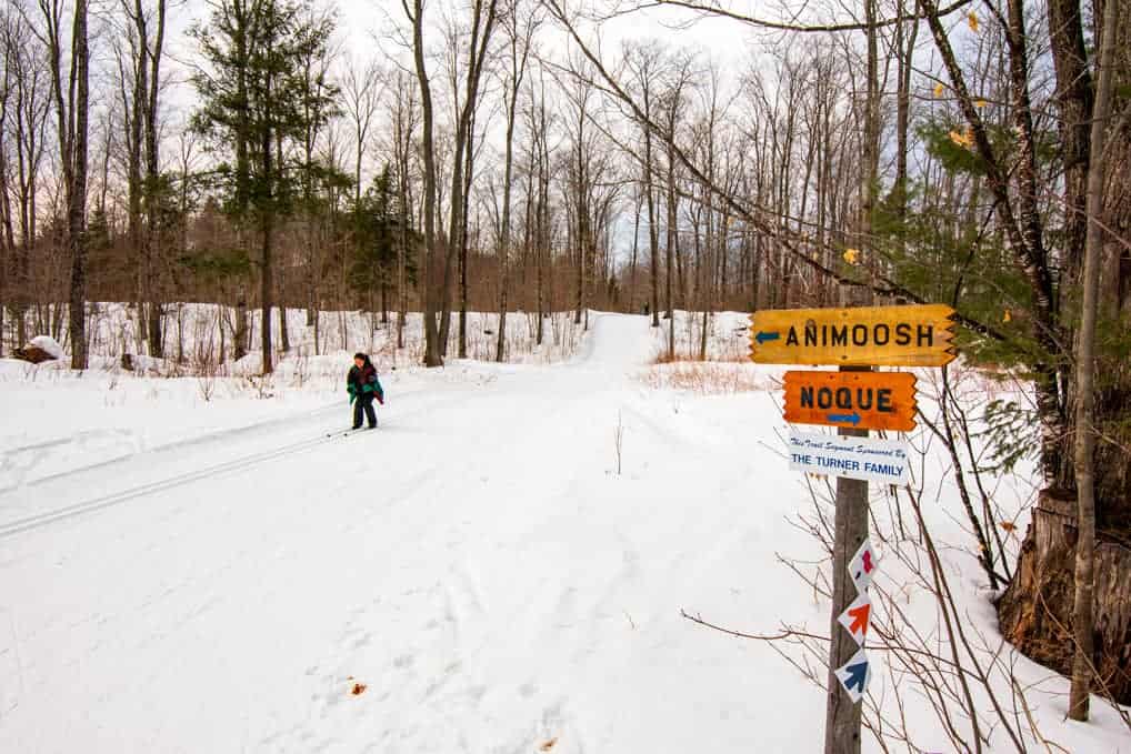 cross country skiier at marquette's north trails